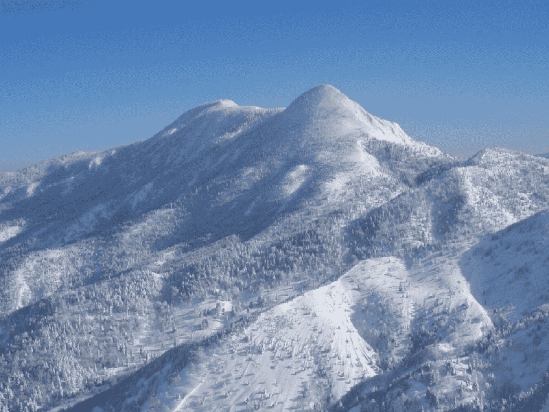 兰州试管做几代好,2024年兰州泰国宫腔镜检查费用（试管移植中级囊胚）